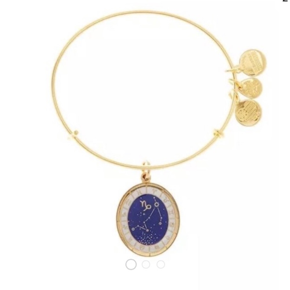Alex and Ani Capricorn Constellation Bracelet